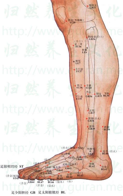 飛揚穴位置|飛揚穴